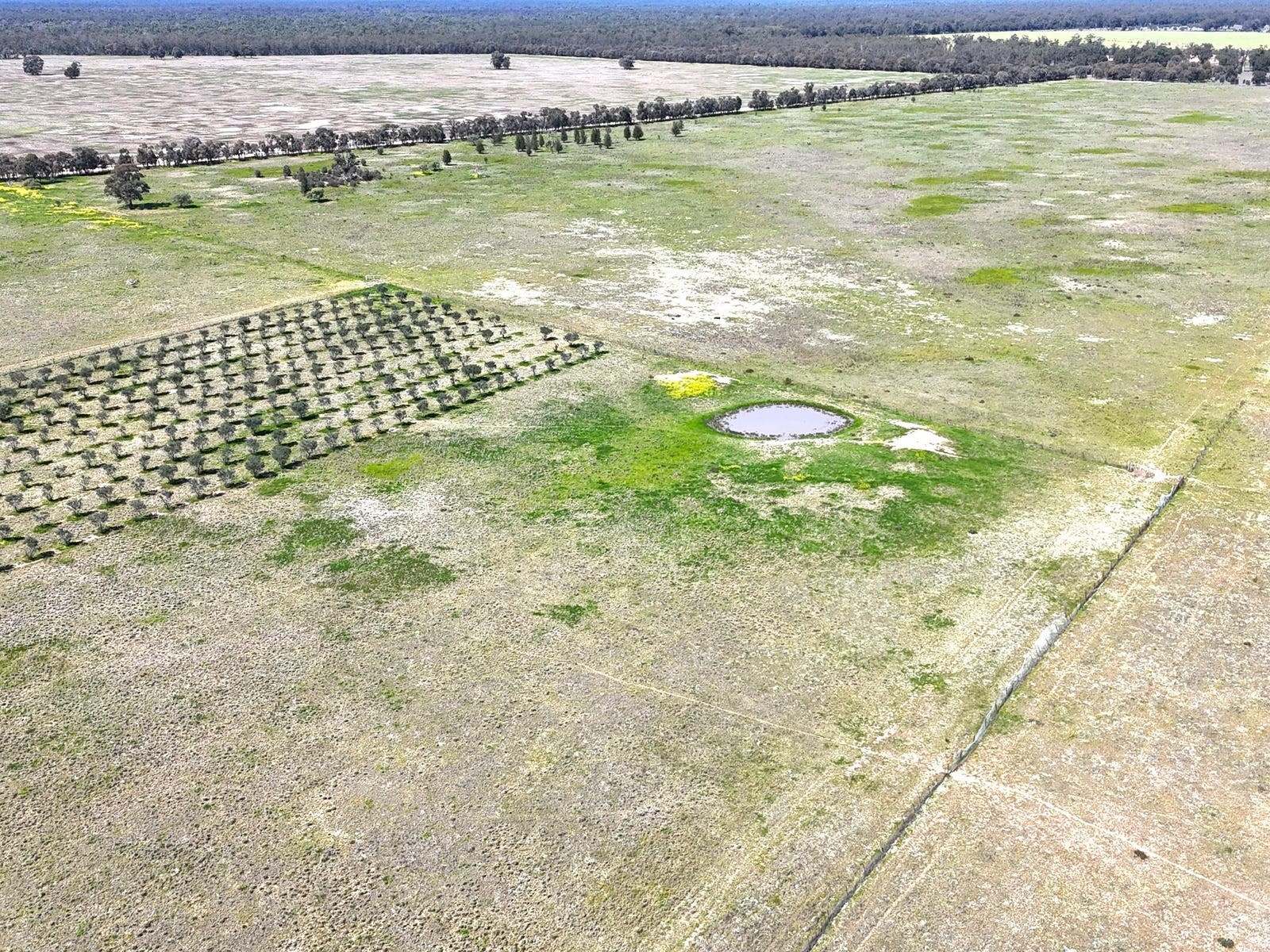 Business For Sale: Bohena Creek, NSW 2390