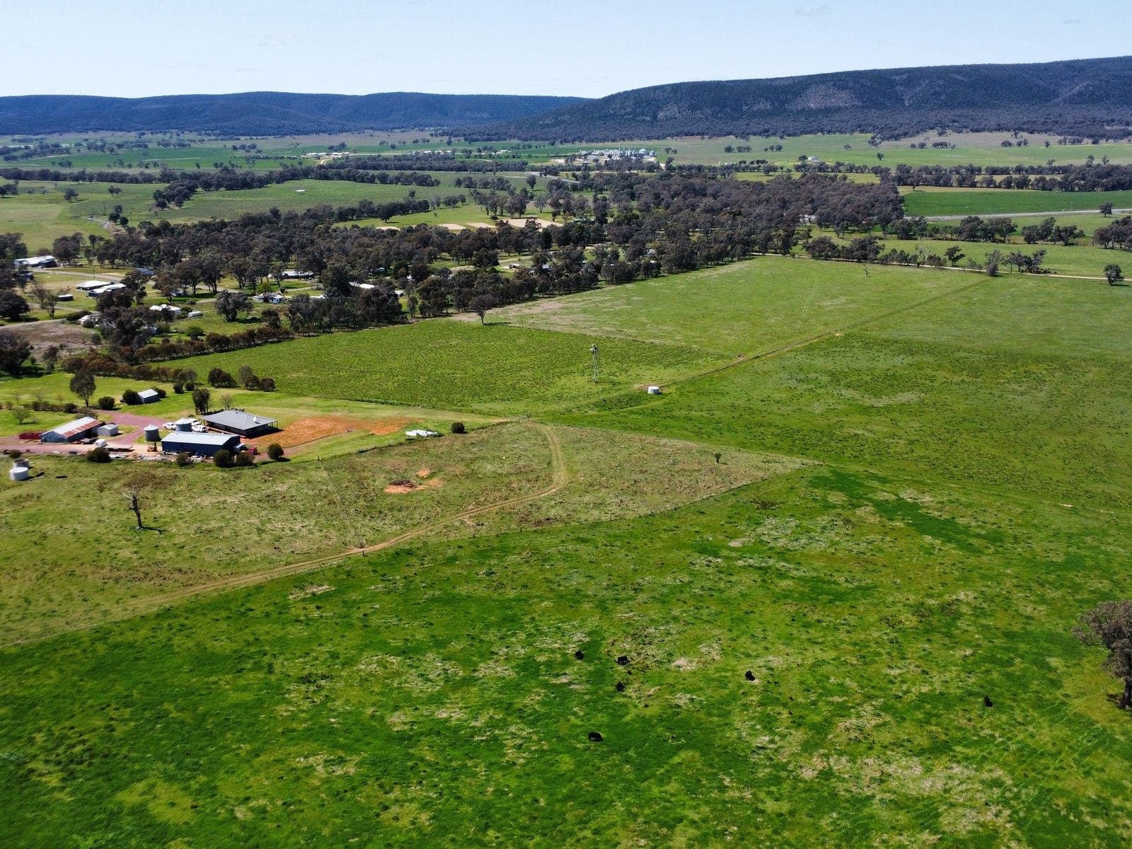 Business For Sale: Young, NSW 2594