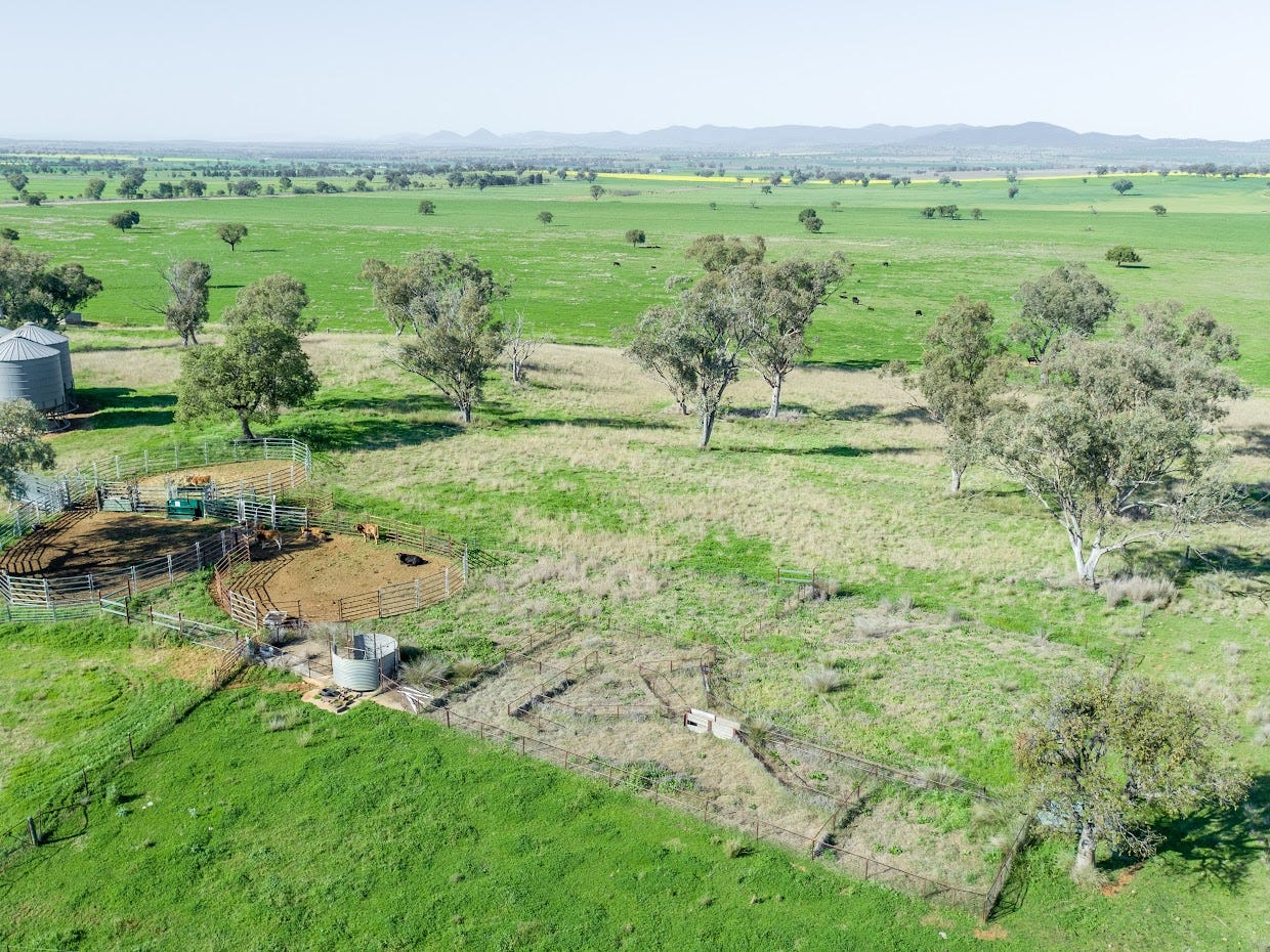 Business For Sale: Somerton, NSW 2340