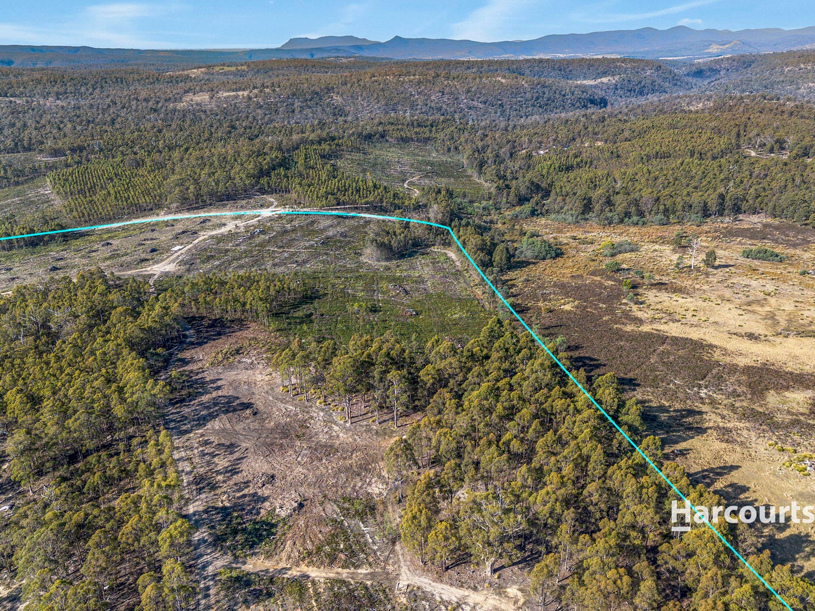 Business For Sale: Levendale, Tas 7120