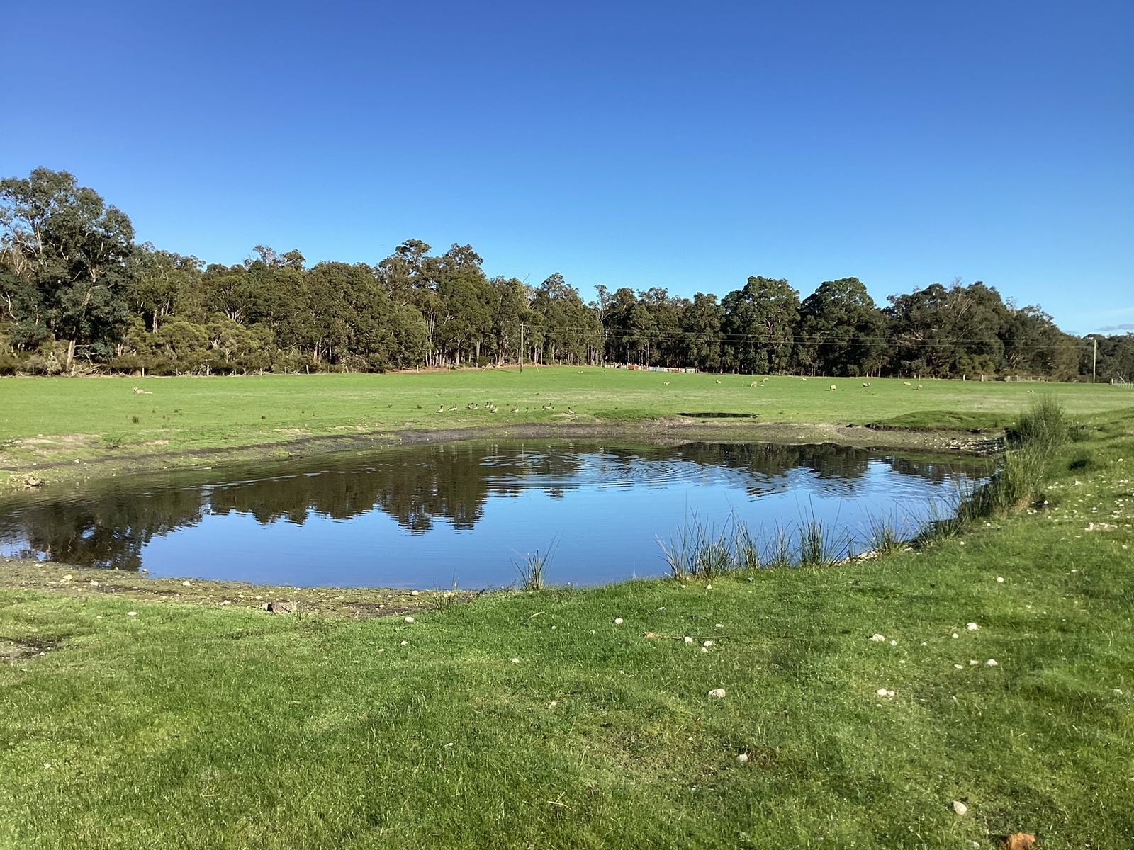 Business For Sale: Nannup, WA 6275