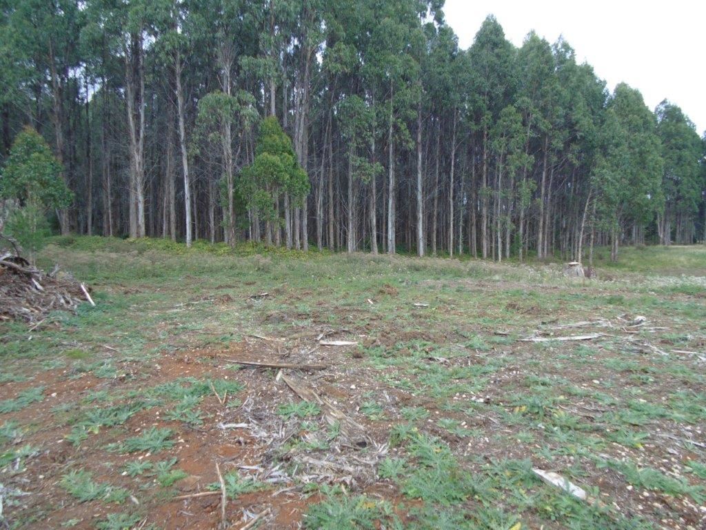 Business For Sale: Roger River, Tas 7330