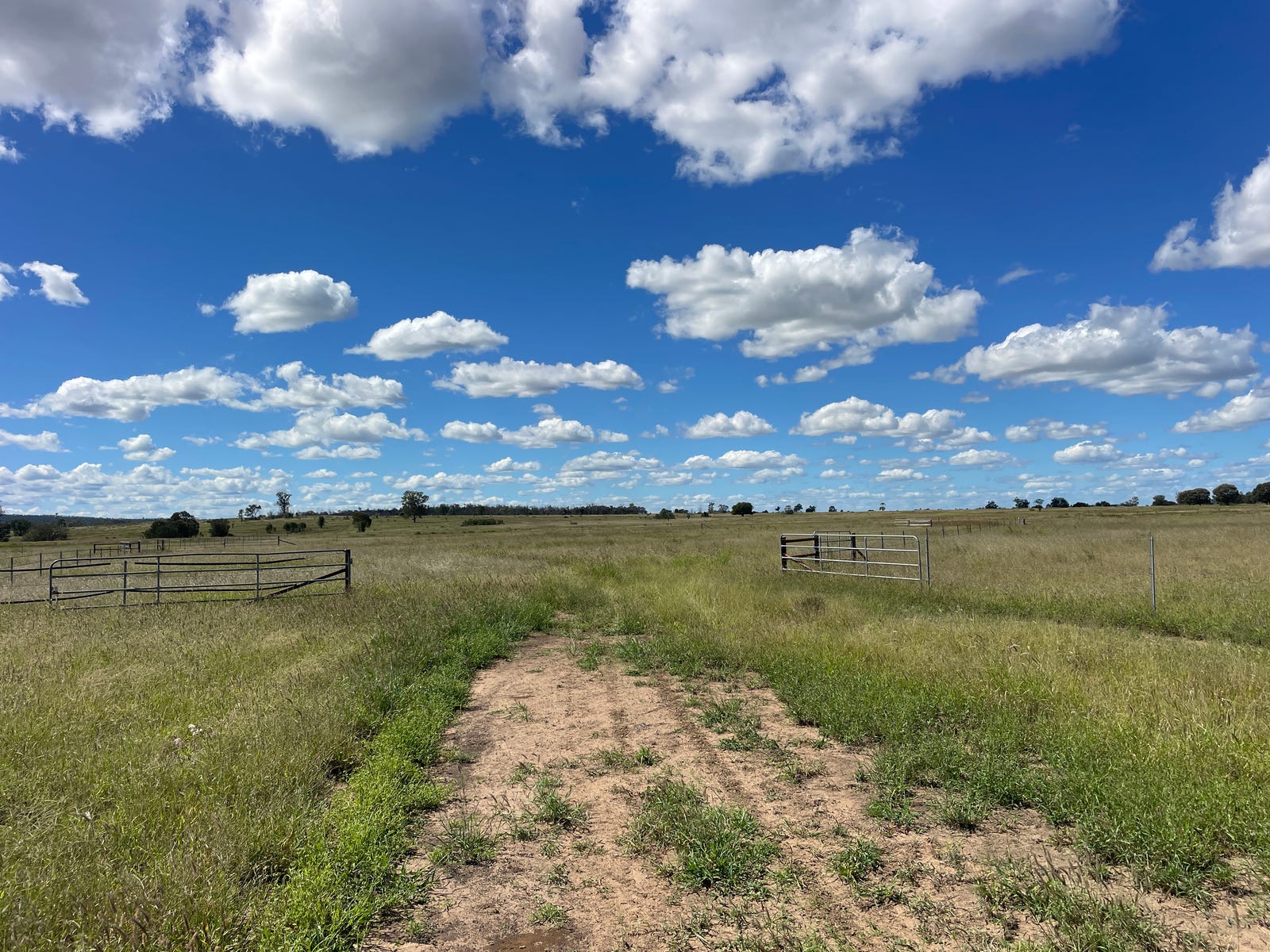 Business For Sale: Taroom, Qld 4420