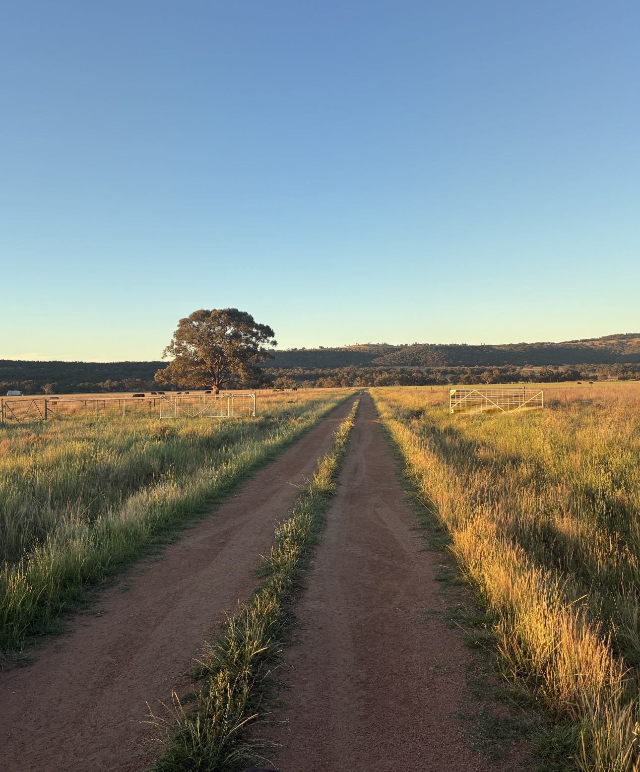 Business For Sale: Neilrex, NSW 2831