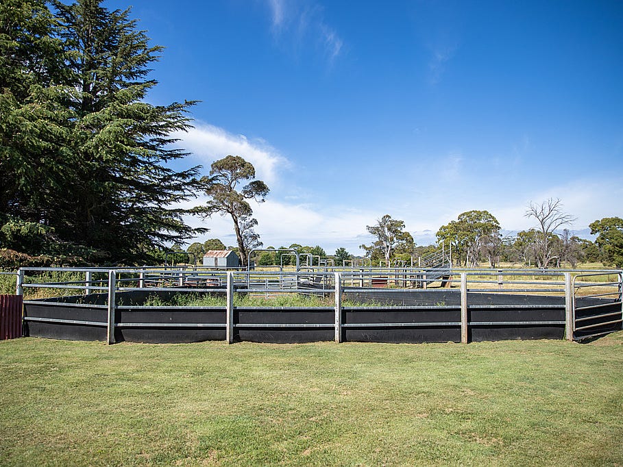 Business For Sale: Black Mountain, NSW 2365