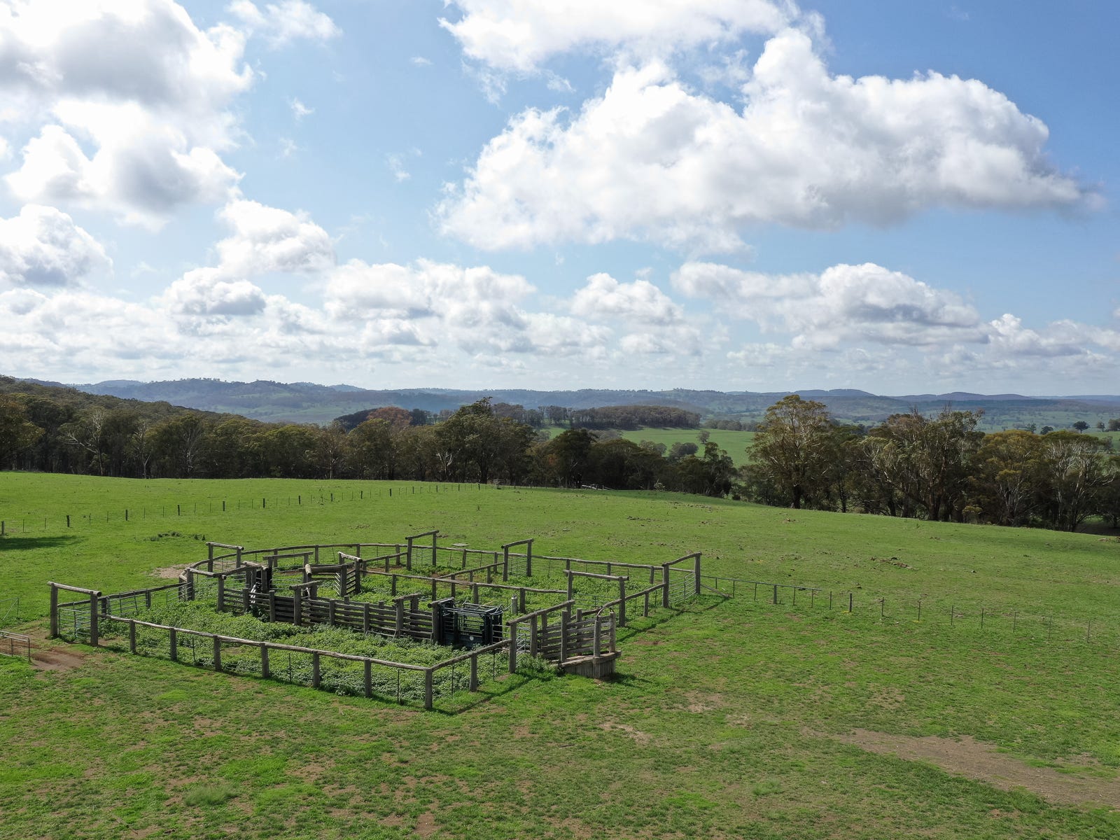 Business For Sale: Ben Lomond, NSW 2365