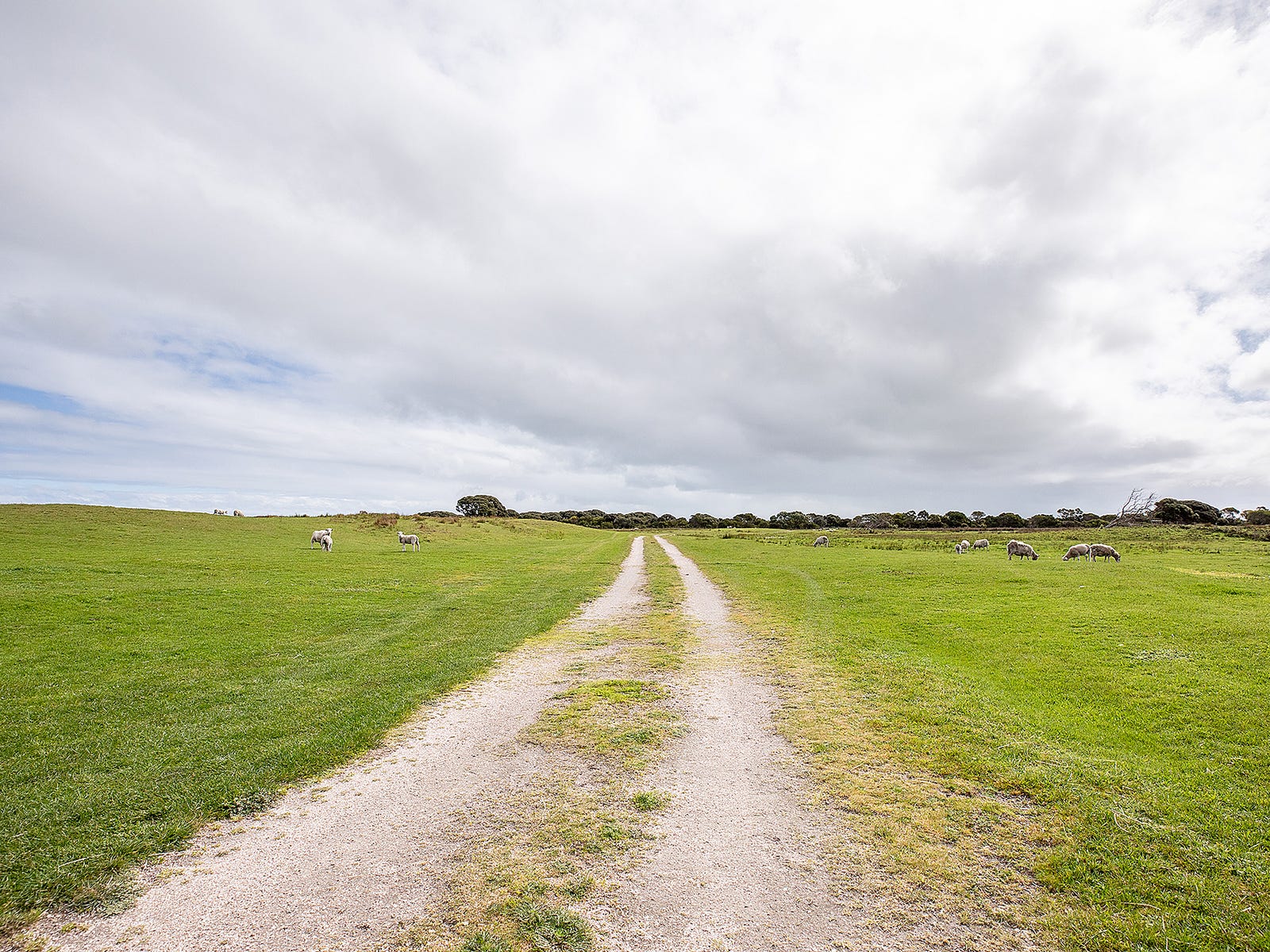 Business For Sale: Beachport, SA 5280