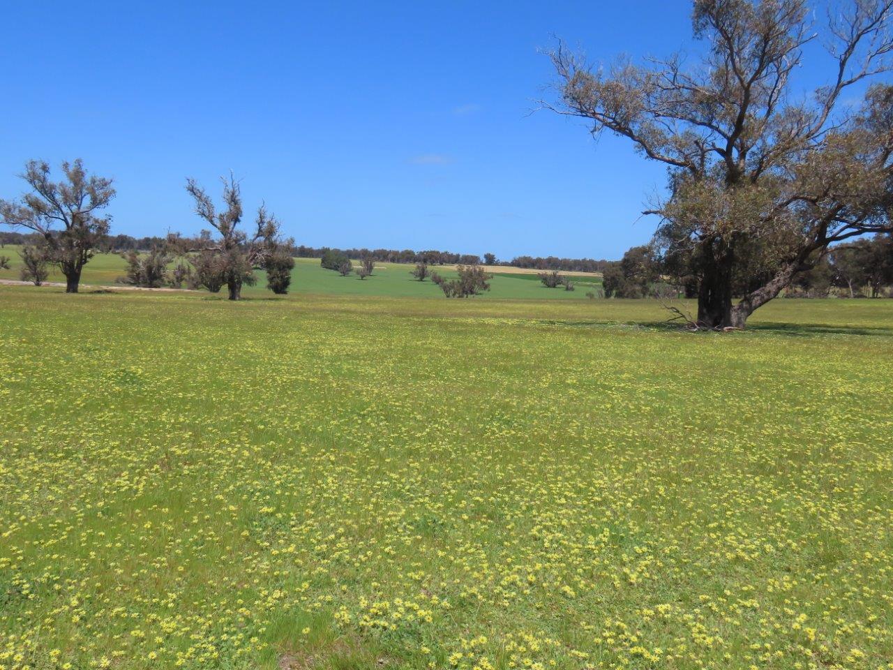 Farms For Sale in Kulikup, WA 6244