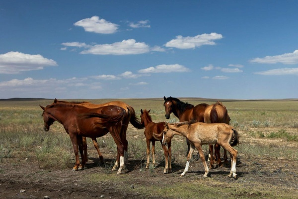 Know Before You're the First to Go: A Primer to the Stans of Central Asia