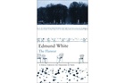 The Flâneur