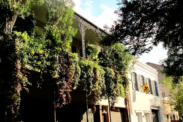 Little Big Easy Guide to New Orleans