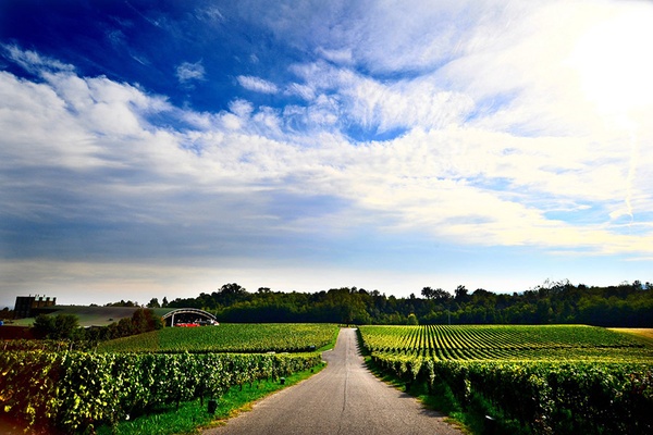 Who You Calling Champagne? Tasting Notes on Italy’s Best Bubbly