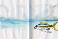 Bahamas Dry Forest Illustrated