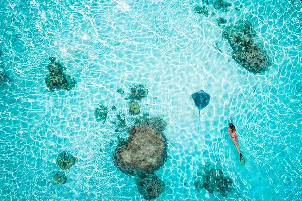 Tahiti by Salt Wings