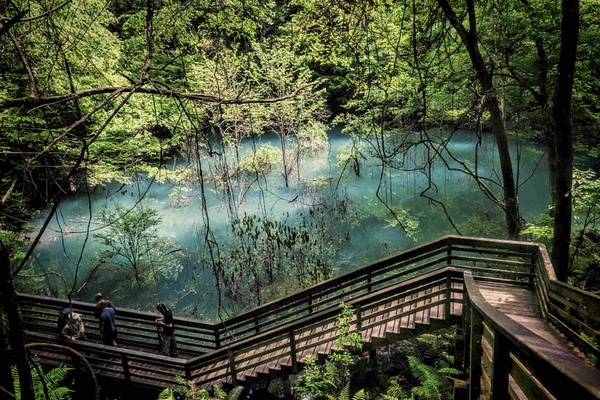 Right About Now, We Could All Use a Life-Changing Natural Wonder in Our Lives