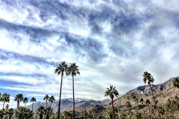 The palms and mountains of Palm Springs, California.