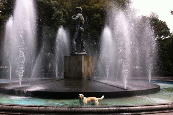 24 Hours in Mexico City's Most Charming Neighborhood