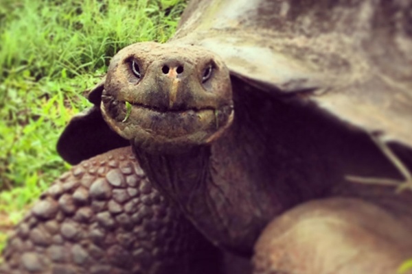 An Action-Packed Guide to the Galapagos Islands