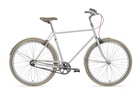 Public Bike