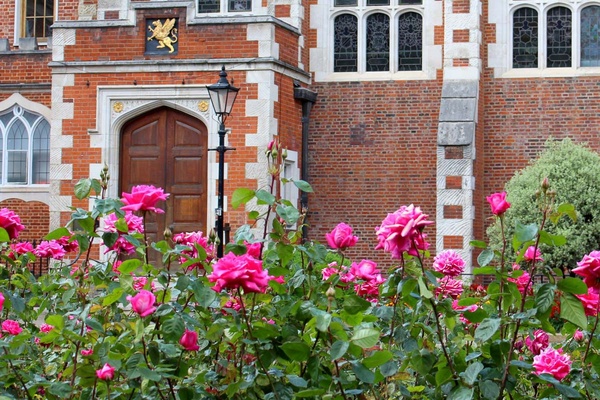 Gardens at Gray's Inn