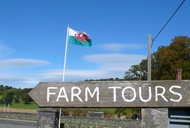 Farming, Foraging, and Feasting in Wales