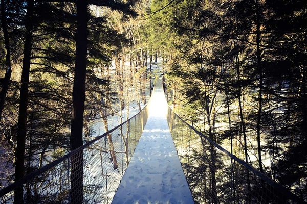 At Ramblewild, Spend Your Day Up in the Trees