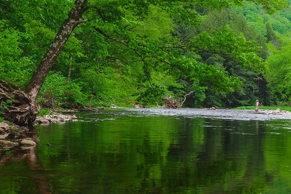 Willowemoc Creek, Catskills, New York
