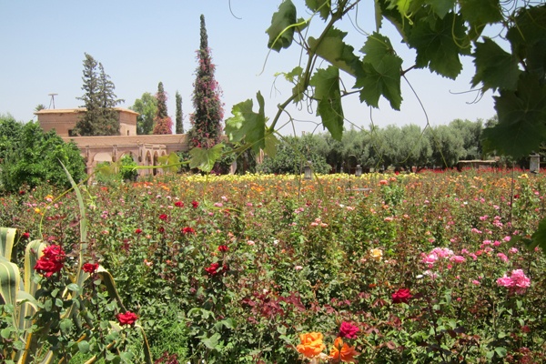 The Garden of Eden Is in Marrakech