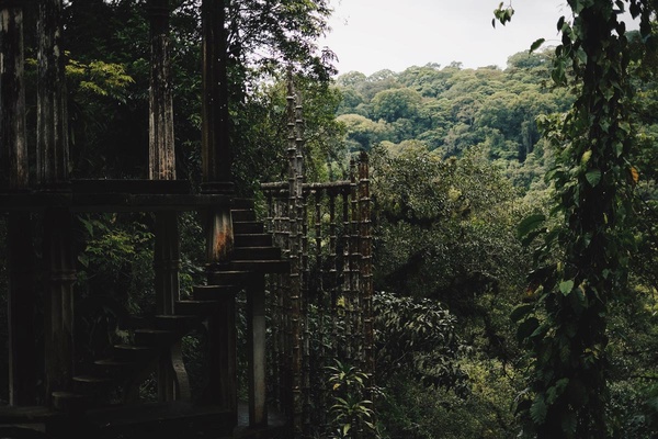 Lost in a Dream in the Surrealist Garden of Mexico