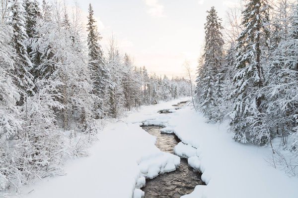Loggers Lodge, Swedish Lapland