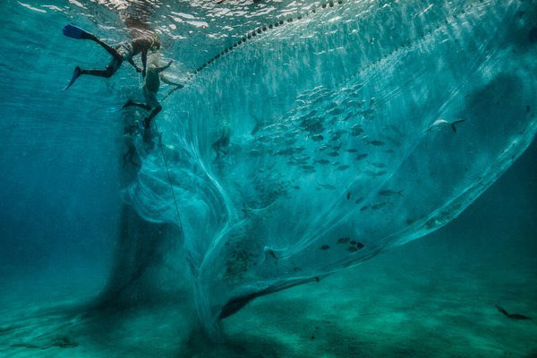 Charlie Hamilton James