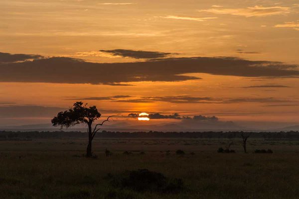 Angama Mara sunrise