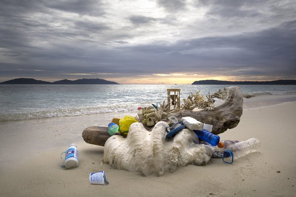 Anne de Carbuccia photographs