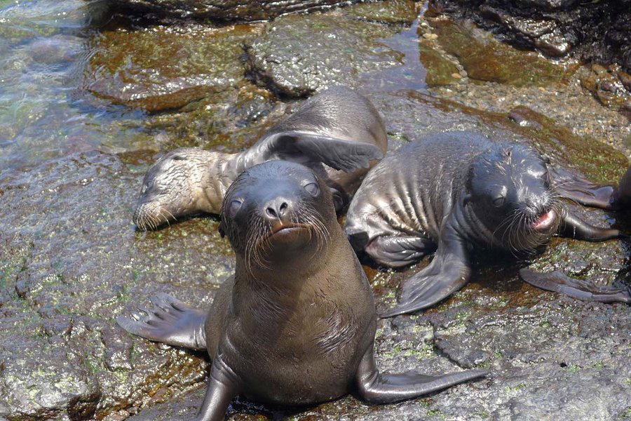 Photo by Pavia Rosati.