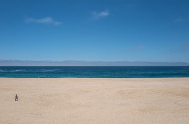 Punta Lobos Beach