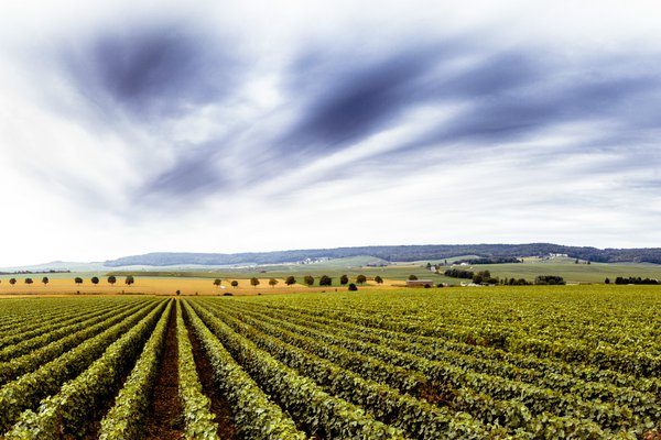 Champagne valley France landscape