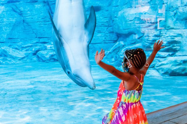 Clearwater Marine Aquarium.