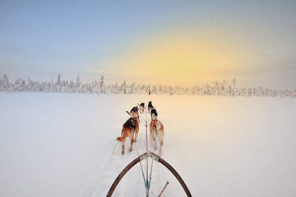 Sledding into sunset Kangos Sweden
