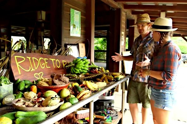 A screenshot from Ex-Pats Episode 2