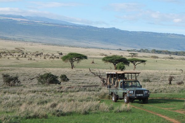 Jeep on safari tour in East Africa