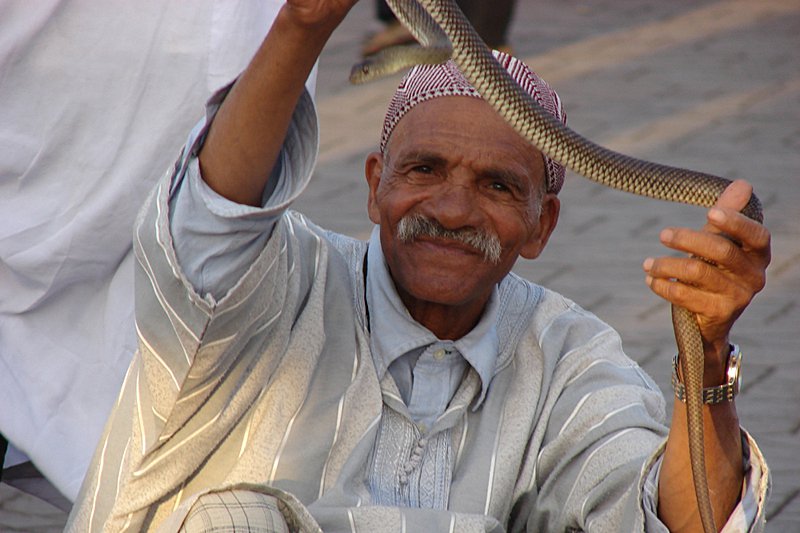 Snake whisperer on the place Djemaa el Fna. Photo by Christine Pierre