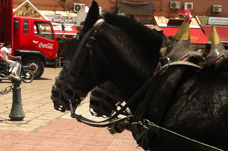 The culture shock: Coca-Cola trucks and horses as transportation. It's crazy how both operate on the same streets.