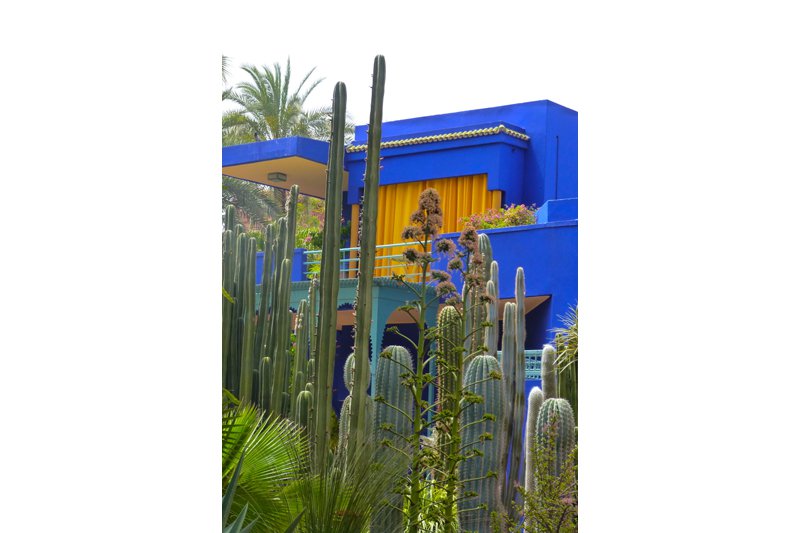 Yves Saint Laurent's house behind his cactus garden. You can visit Majorelle Garden. It was designed by a French artist called Jacques Majorelle in the late 1920's/early 1930's.