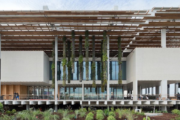 Perez Art Museum, Miami.
