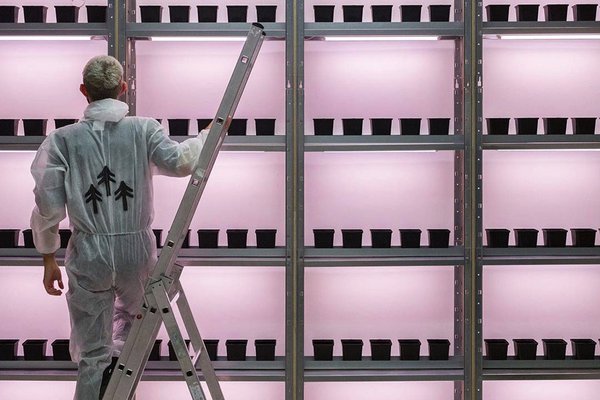 Gray Area San Francisco.