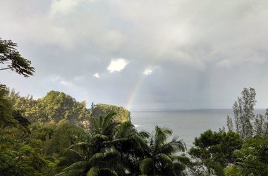 Hawaii Tropical Botanical Garden