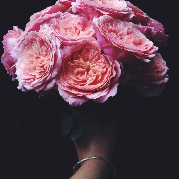 Amanda Marsalis Instagram