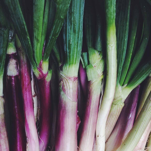 Amanda Marsalis Instagram