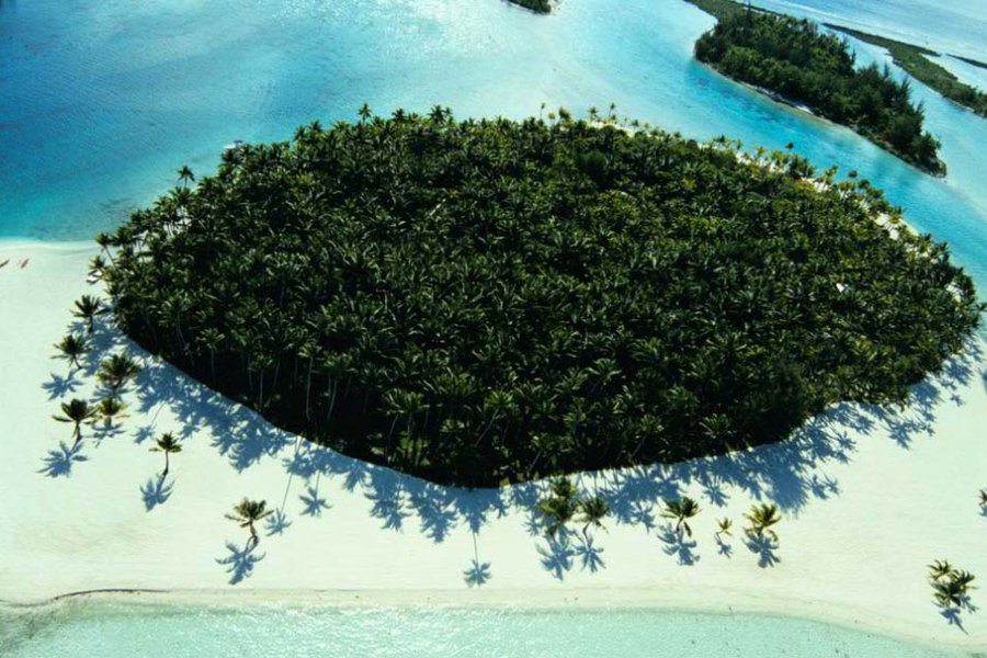 Photo courtesy of Motu Tane.