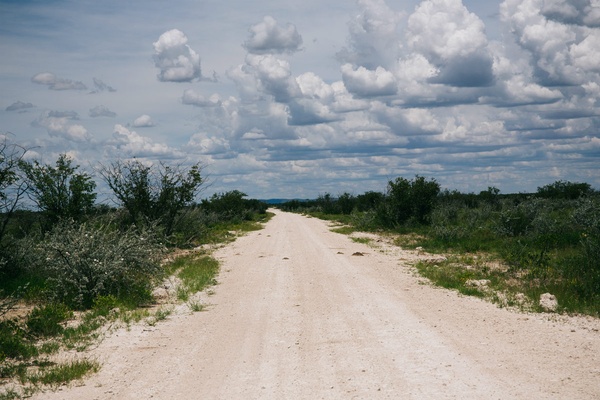 Etosha National Park, Namibia